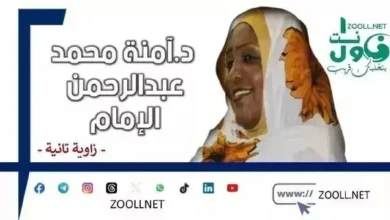 Local chikan, development and organization of the market: challenges and visions {2} ✴️ a second angle