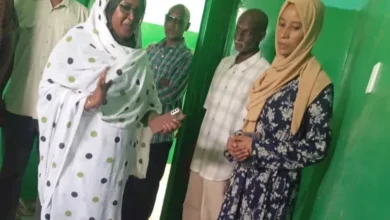 Sennar's basic health care can be found in Al-Takina Health Center in the East Sennar