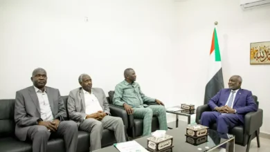 The Minister of Finance undertakes to continue to support the state of central Darfur