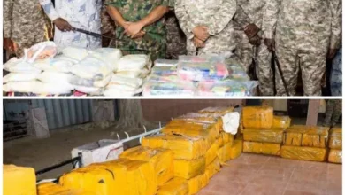 All the details on the greatest control of the Red Sea Medicines