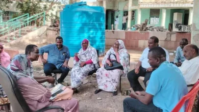 80 cases of suspicion of the state of Sennar, including 76 with a CENN.