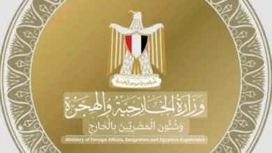 Egypt firmly condemns the targeting of infrastructure at the Sudan port and calls for climbing to stop climbing