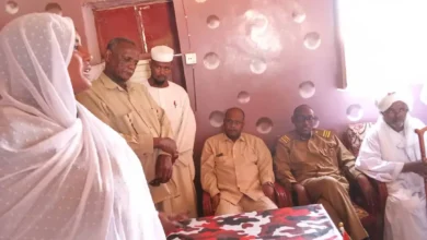 Shendi Executive: Paying attention to domestic students is part of the country's scientific balance in the field of Renaissance and Development