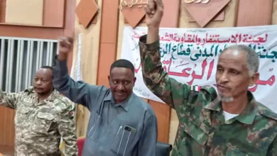 The Governor of Sennar: the government is committed to opening the roads and providing the necessary for the pastoral sector