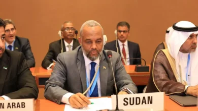 The Minister of Health participates in the meeting of Arabic health ministers