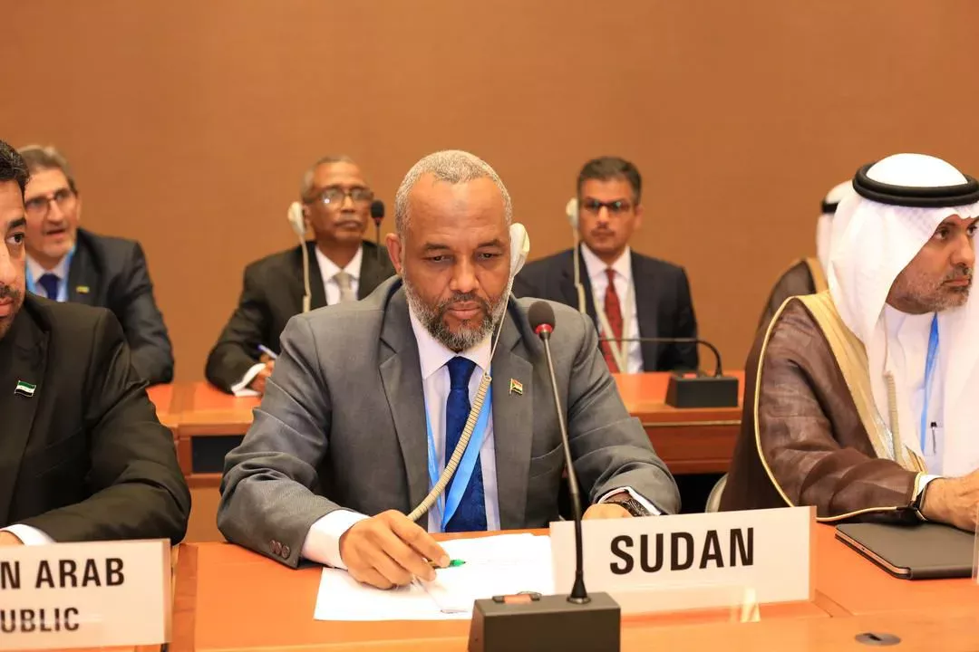 The Minister of Health participates in the meeting of Arabic health ministers