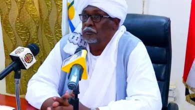 The Nile rents the superiority of the State in the results of the secondary certificate reported 2023 ... and 19 students raising the name of the State in the honor list, and the State strongly imposes its superiority in religious and industrial courses