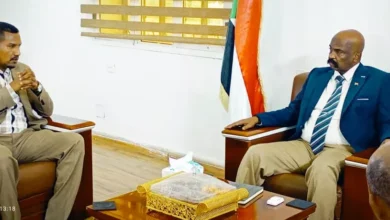 The Northern Governor confirms support efforts to finish the wind from the wind power plant in Dongola