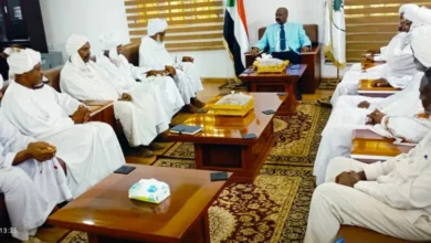 The Northern Governor is intended for emergency solutions to the problem of the agricultural forest project