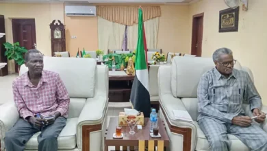 The governor of Gedaref reveals the developments of the radical water solution and announces the supply of financing of the Chinese company and the federal support for energy and wells