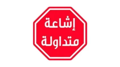 The news of the accident of a plane carrying Mauritanian pilgrims off the Red Sea is unfounded !!! - a clarification declaration