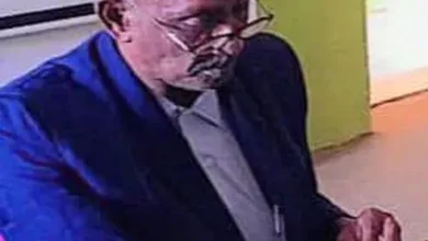 The state of the Nile aims to cultivate a million acres during the current summer season