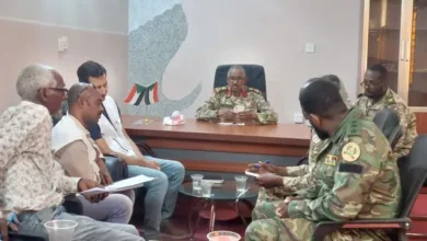 Actor partnerships between the forces of the Shield Sudan and MSF