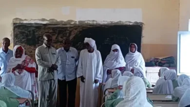 Administrative assistant for the elementary scene of Al -jazeera, Al -jazeera, The Castle of Science and Scholars