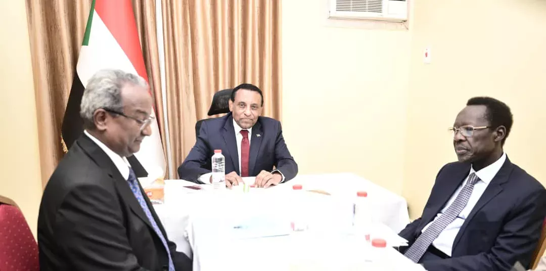 D. Kamel Idris directs the creation of an external relations council which includes ambassadors and experts abroad