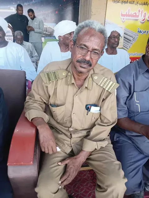 Fundamental efforts of Professor Mohamed Ahmed Hammad