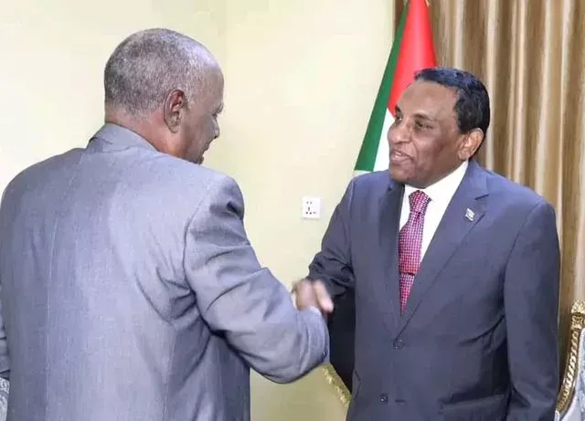 Kamel Idris underlines the importance of giving priority to education problems