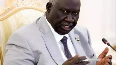 Malik Aqar: Othman's feelings have the idea and the initiative to house Sudanese journalists in ports