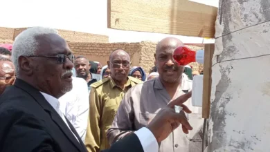 Nile: State strategy is towards alternative energies and based on an energy source of security and economic threats