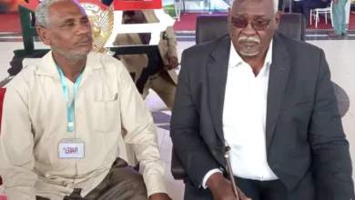 Nile: the security services operate in full coordination to extend and improve security in the state