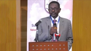 Professor Bakri Othman Saeed participates in the United Nations meetings to discuss the establishment of an electronic education platform for less developed countries