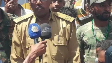 Shendi and Qatar Burqo and Farah Citizen - Scenes and evidence