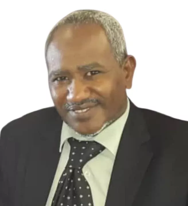 Strategic expert Haider al -Senussi: Tkurqarat consultation .. A message from the heart to the government