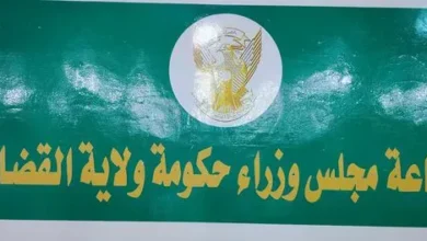 The Gedaref government is a committee to deal with children who are missing the link and provide them with integrated services