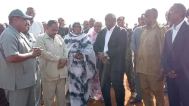 The Government of the State of the Nile implements projects in various service installations at the cost of more than (18) billion pounds in Shendi