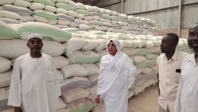The Minister of Production of the White Nile stands in terms of seed production for summer loop crops and announces the supply of more than two hundred and sixty tonnes of atom seeds and seven hundred tonnes of sesame seeds for farmers in the state