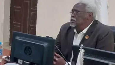 The Nile: Stability and the continuation of the services for the citizen are one of the priorities of the government of the State.