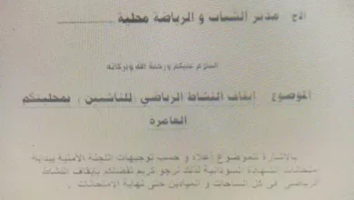 The Supreme Council for young people and Nile sports issues an order to stop the activity of young people in the localities
