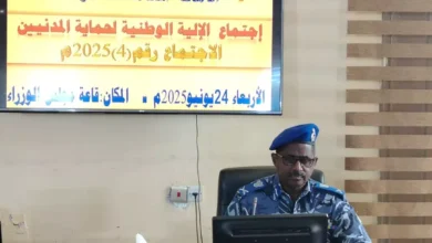 The police director chairs the meeting of the national mechanism to protect civilians