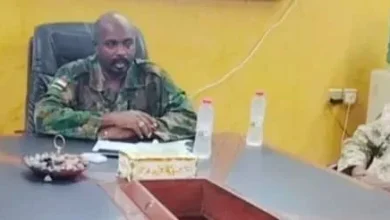 AL -AIN in the bear: "A security meeting renews the alliance to protect the land and the show