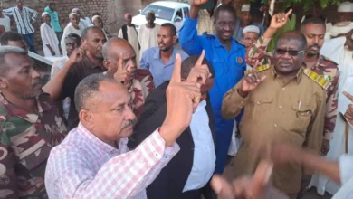 After the martyrdom of two of his sons, the village of Al -amara, Al -Rawaj, Paoujar, who pays (17) Mujahid for the rows before