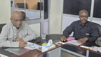 Al -jazeera: a new organization for government real estate labor regulations in the state of Al -Jazeera