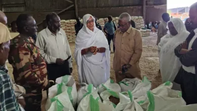 And at Nile Blanc and the delegation of the Zadna company standing on capacities and ingredients