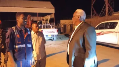 At the Nile River is held on the current efforts to restore electric current