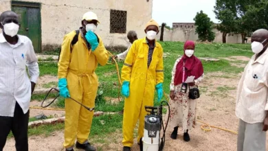 Campaign to fight weeds and diseases in Sanja