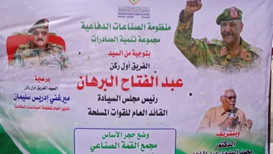 Defense industry system Honor the Governor of the State of the Nile