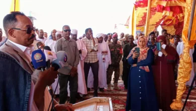 Director of Sudanese Mineral Resources Company: partnerships with mining hosts and Nile experience should be broadcast