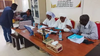 Discuss the first doctoral thesis at the Institute of Research and Studies of the Islamic World at the Omdurman Center for the Student, Jama Nasr, The Light of the House in the specialty of modern literary criticism, where the study was entitled Analytical study and descriptive study in Badr Shaker Al -Sayyab -an Study and Descriptive Study and Descriptive Study and Descriptive Study and Descriptive Study and Descriptive Study Author