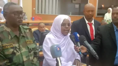 Dr Salma Abdel -Jabbar: Sennar promised with a complete renaissance 0