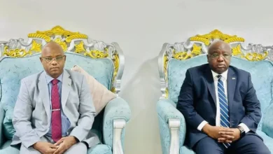 During the conference of the countries of Lake Sudan, it presents its plan to develop the metal sector and confirms its preparation for regional cooperation