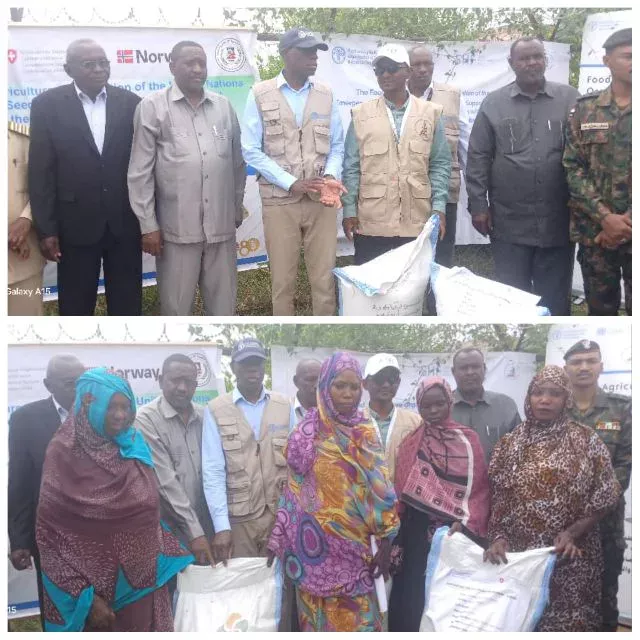 FAO targets around 850,000 farmers in Sudan with improved seeds ... Sennar province: inaugurate the distribution of corn seeds provided by (FAO) to small farmers