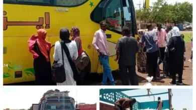 Gedaref marks 10 panels less than 481 displaced in their original areas