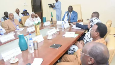 In -depth meeting of the Blue Nile Government, Help and Humanitarian Organizations