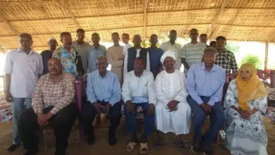 Journalists have a vision to develop Nile sport through sport and patients.