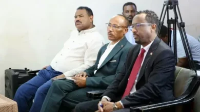 Militia repatriated and repatriated are a lot and a lot of information