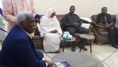 Nile: State capacities are capable of absorbing all economic movements of the country